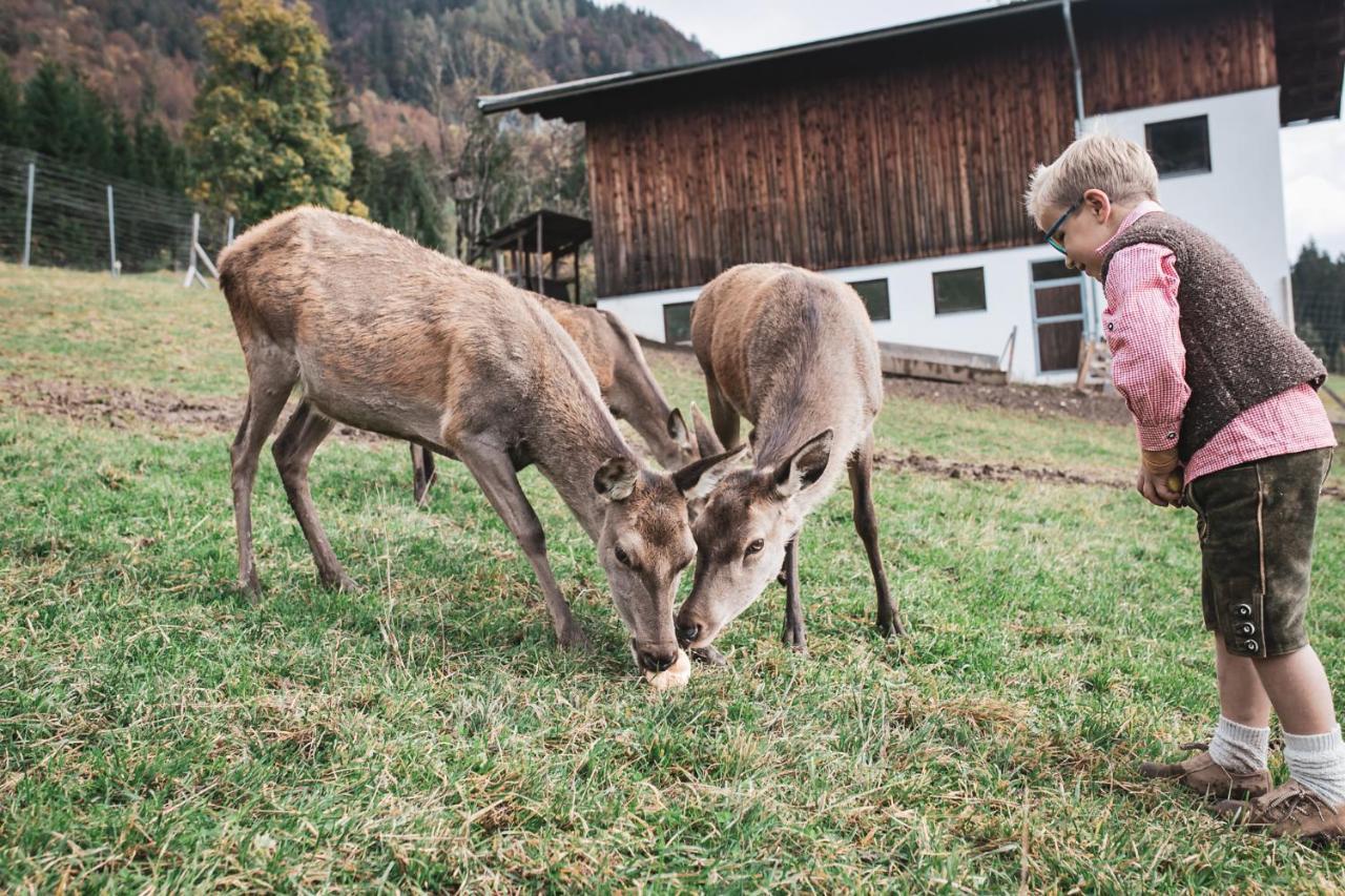 Berghof Haselsberger Appartements Sankt Johann in Tirol Exteriör bild